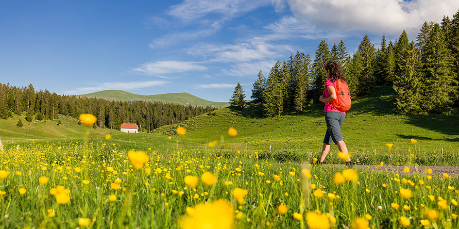 Une randonneuse dans les Hautes Combes.