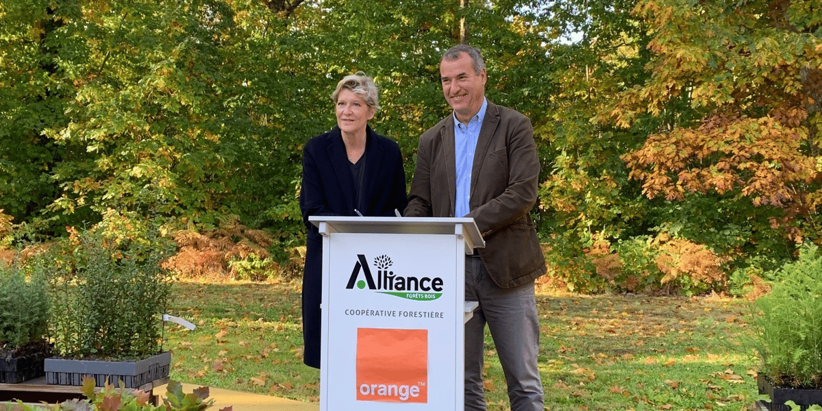 Orange Alliance Forêts Bois