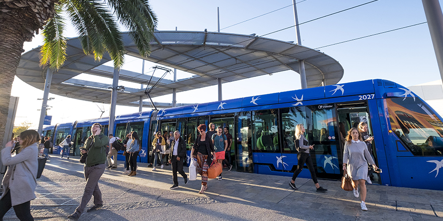 La ligne 1 du tramway de Montpellier.