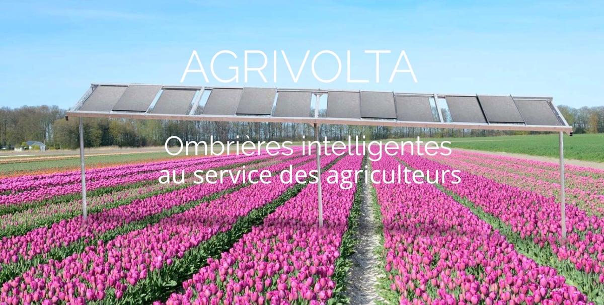 agrivolta
