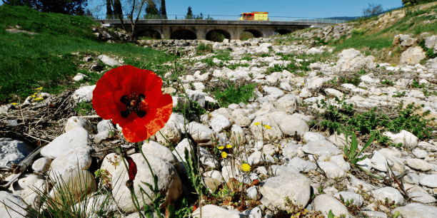 Le Riou Blanc à sec, sur la commune de Fayence (Var), le 30 mars dernier.