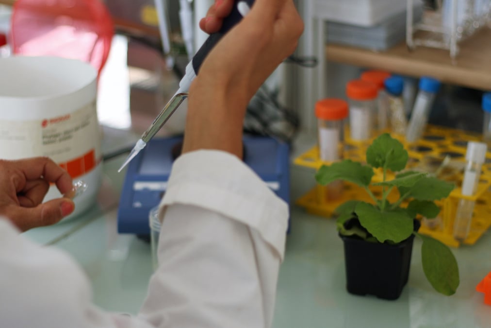Micropep va pouvoir accélérer la mise sur le marché d'un biofongicide pour remplacer les pesticides actuels.