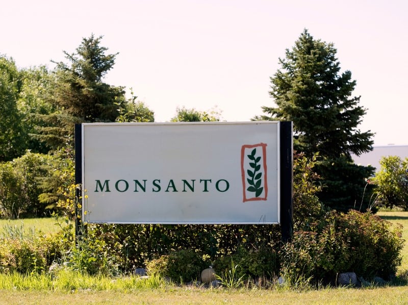 Monsanto: benefice du 2e trimestre a fin fevrier en hausse
