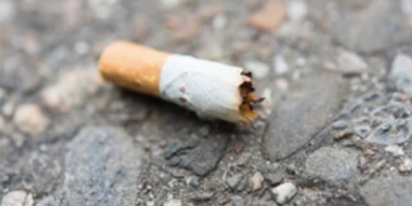Mégot de cigarette