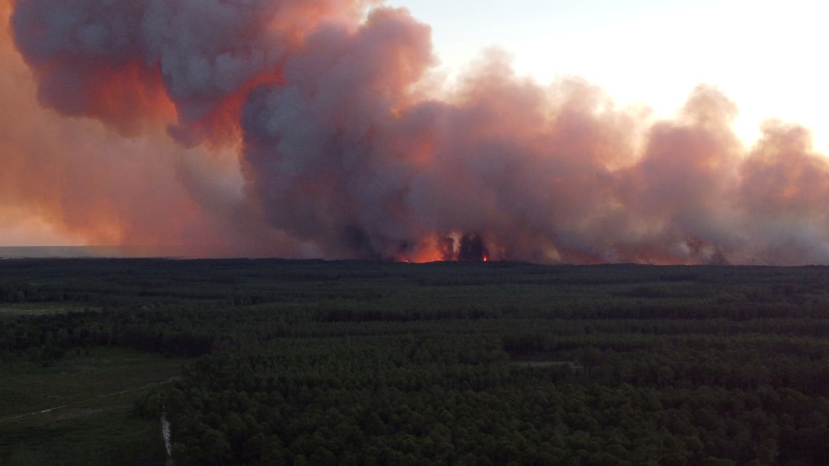 France: les incendies continuent de progresser en gironde, 3.700 hectares brules