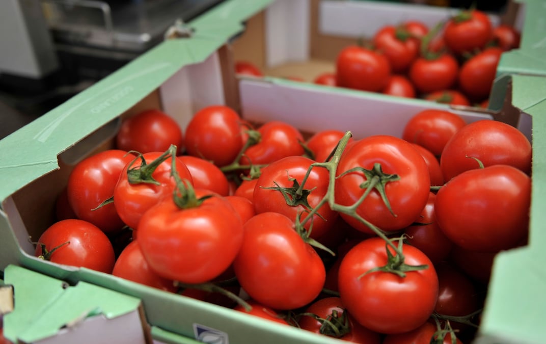 Tomates presentees a la vente sur un marche fermier dans la ville de hambourg, dans le nord de l'allemagne