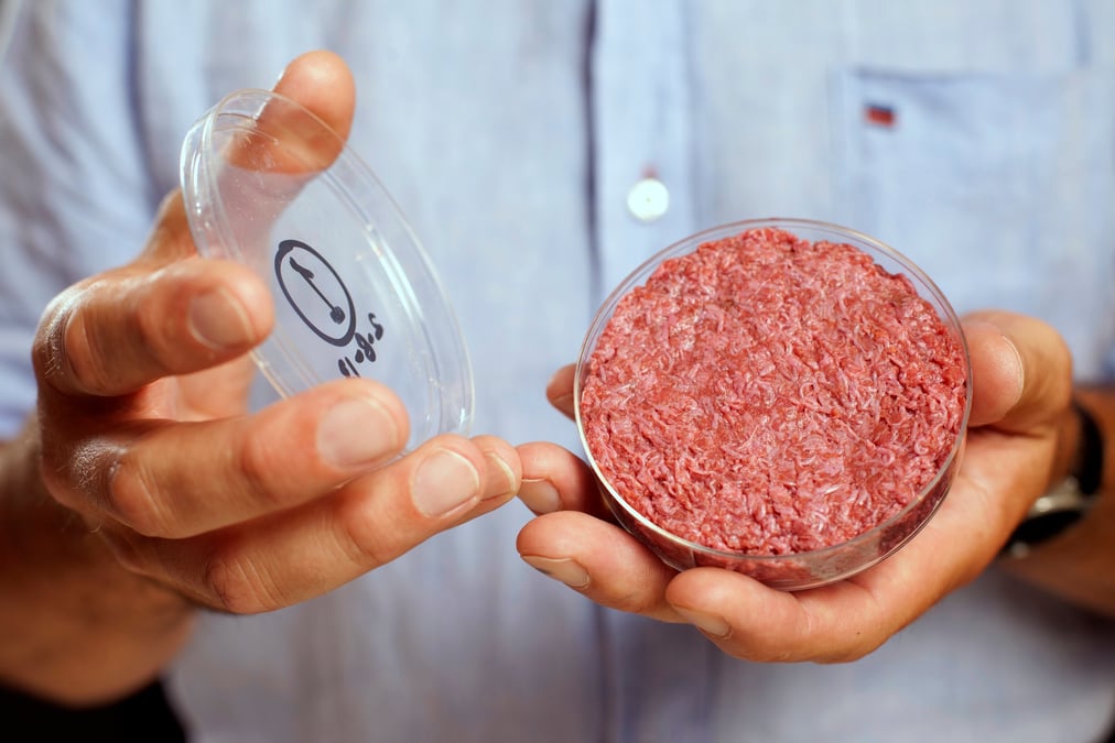 Le professeur Mark Post tient le premier steak haché de bœuf créé en laboratoire (viande in vitro) à Londres en août 2013
