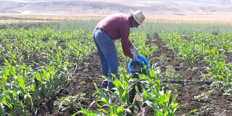 agriculture maroc