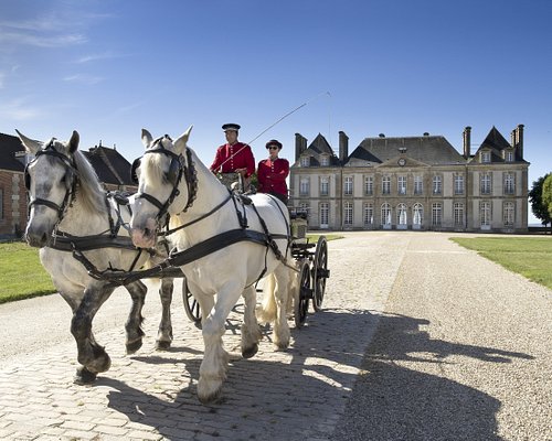 Filière équine Normandie