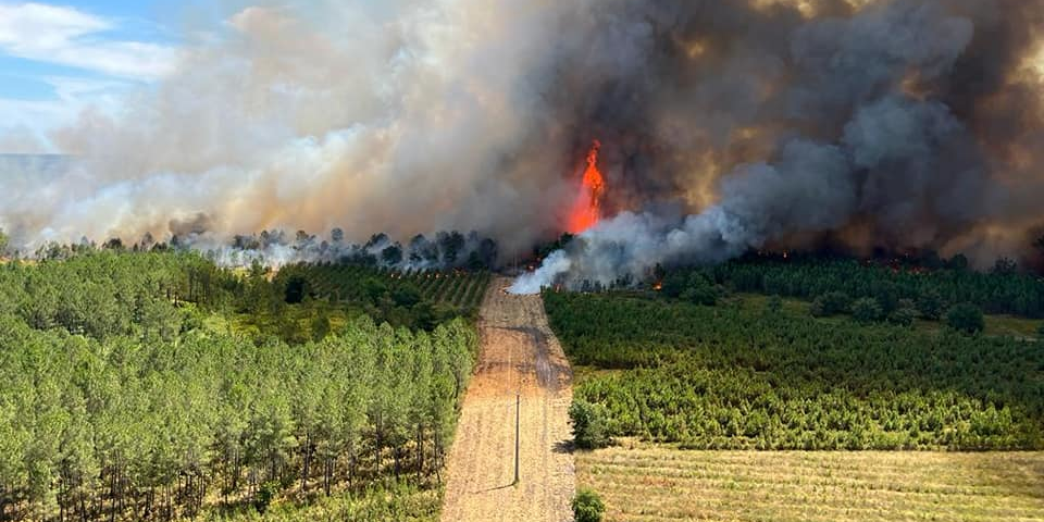 Incendie de Landiras. Reprise en août 2022