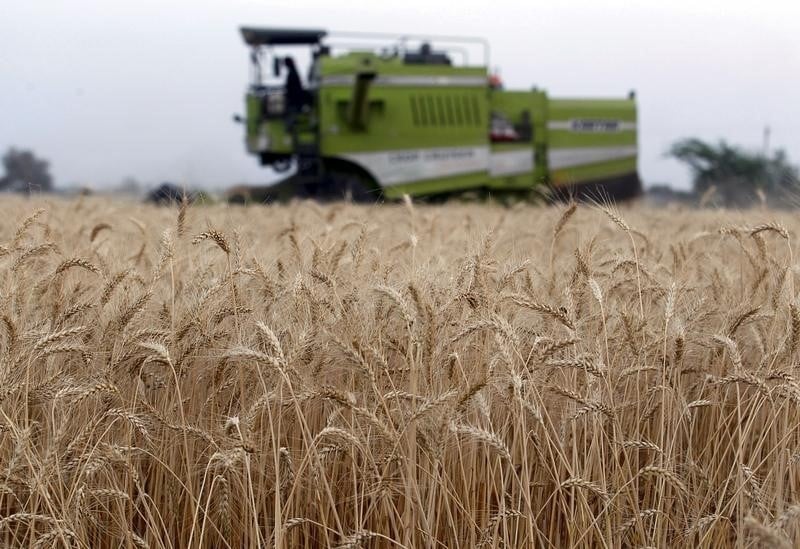 Les prix alimentaires dans le monde a un creux de cinq ans