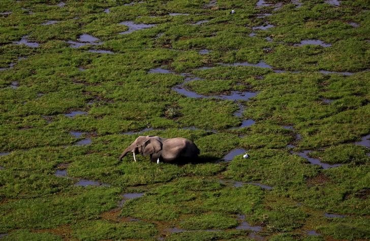 L'industrie menace un tiers des sites natures inscrits au patrimoine mondial de l'unesco