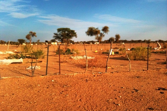 Mauritanie agriculture