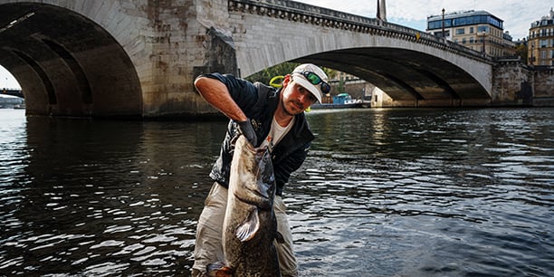 À deux pas de la cathédrale Notre-Dame, près du pont de la Tournelle, Bill François, pêcheur et écologiste convaincu, sort de la Seine un silure. Ou quand le street fishing a des airs de pêche au gros.