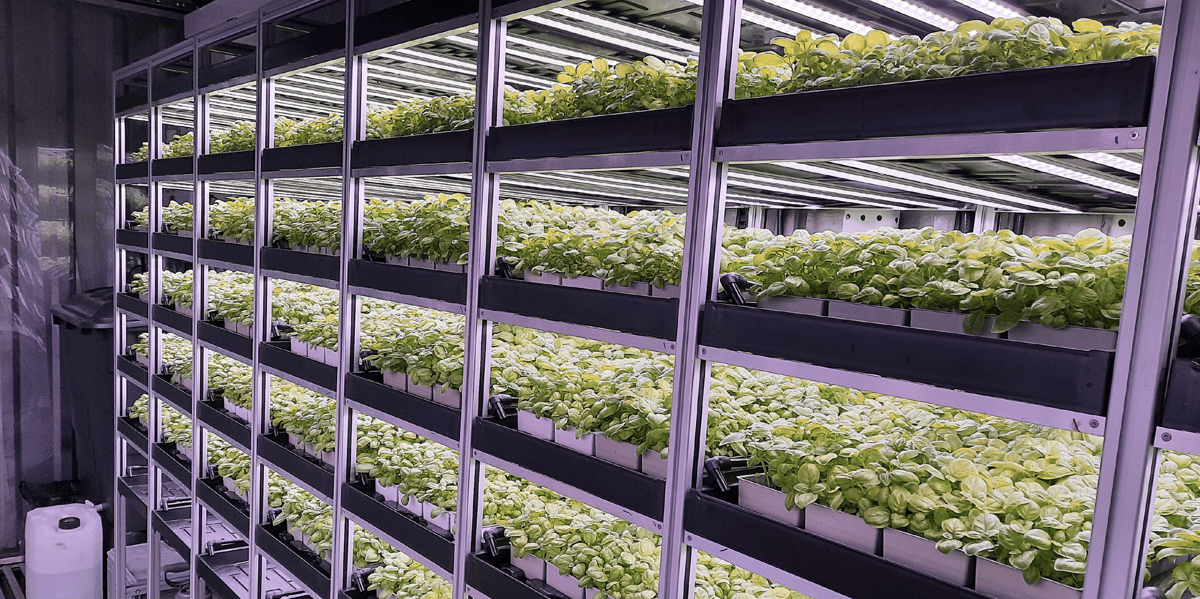 L'Auvergnat Limagrain s'associe au fabricant de containers VIF Systems en direction de l'agriculture verticale.