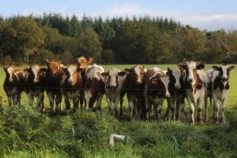 Francois hollande appelle a acheter plus de viande nationale