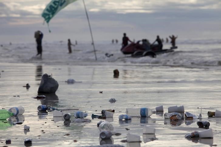 Le wwf prone un accord de paris pour les oceans