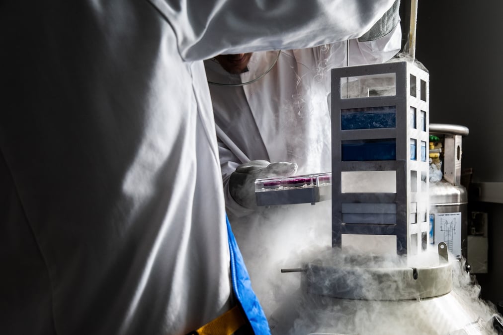 Cell-Easy va approvisionner le CHU de Toulouse en cellules souches issues du tissu adipeux.