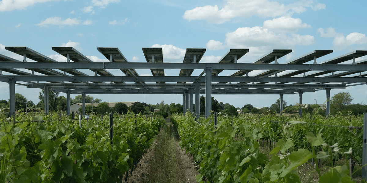 Les panneaux solaires de Vitisolar en position rabattue sur leur structure.