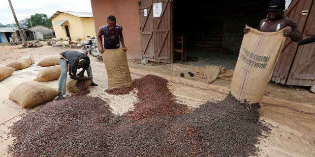 Ghana cacao