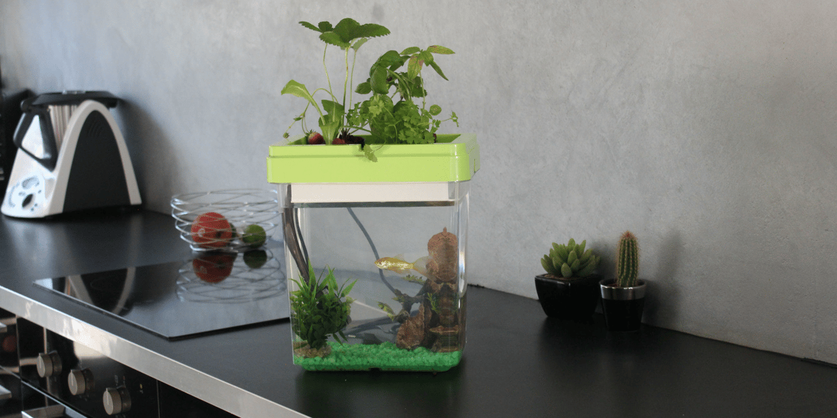 ozarium