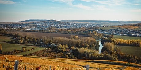 Si tous les secteurs sont concernés, l’agroalimentaire et l’agriculture s’intéressent davan’tage au sujet, voyant dans la décarbonation une « opportunité », après des années d’hostilité sur fond de fronde contre Bruxelles et la réglementation européenne sur les pesticides (photo d'illustration).