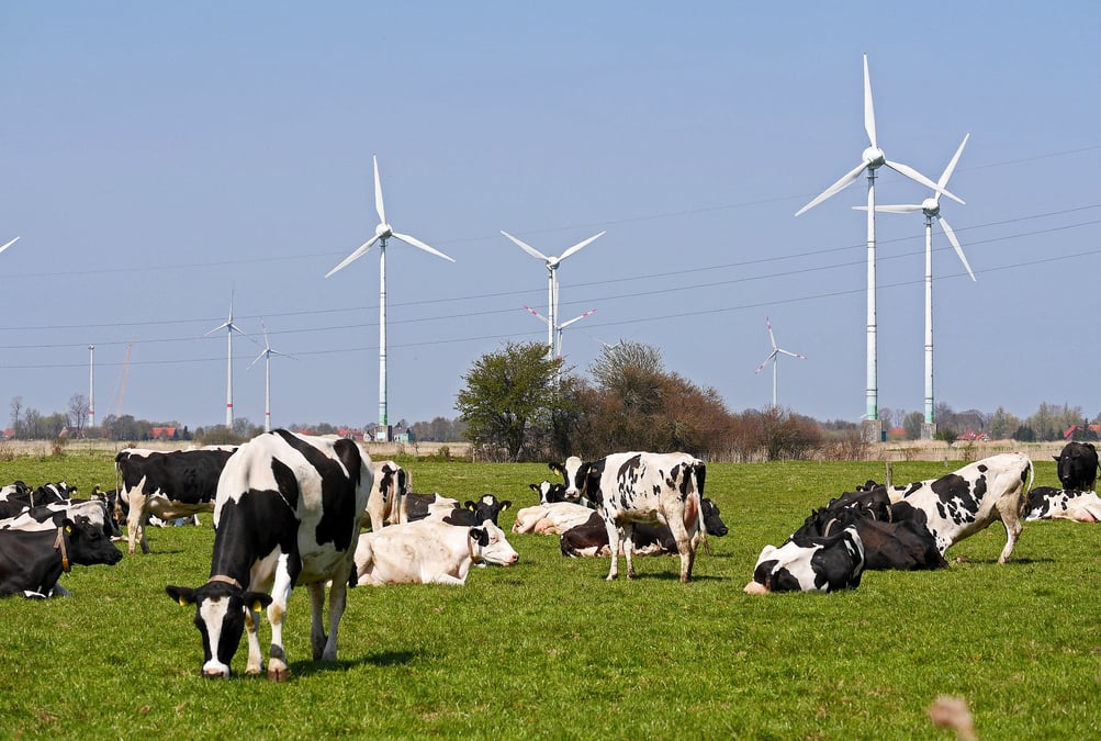 Les énergies renouvelables, une opportunité pour le monde agricole