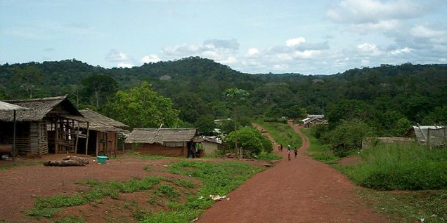 Ngoila Congo forêt