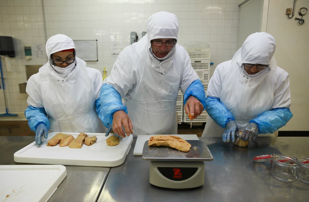Foie gras usine