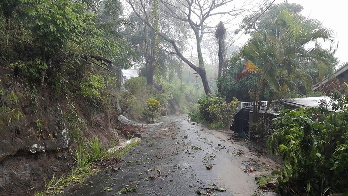 La tempete erika touche les caraibes