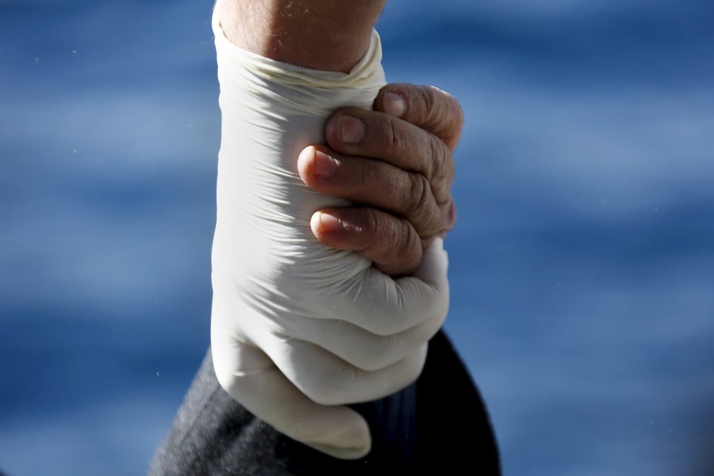 Plus de 76.000 migrants arrives en europe par la mer depuis janvier