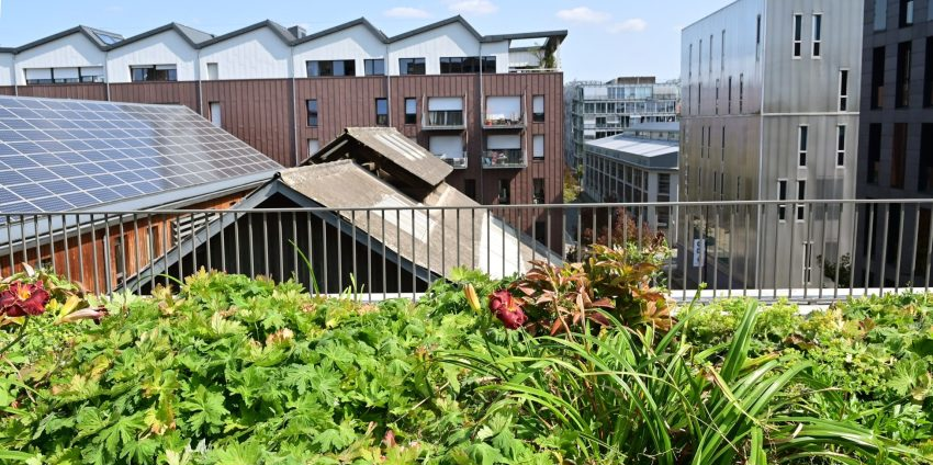 Boucle d'autoconsommation, Ile de Nantes Samoa, toit, solaire, photovoltaïque