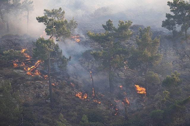 Une partie du territoire de la Grèce a été ravagée par les flammes, conséquence du changement climatique selon les scientifiques