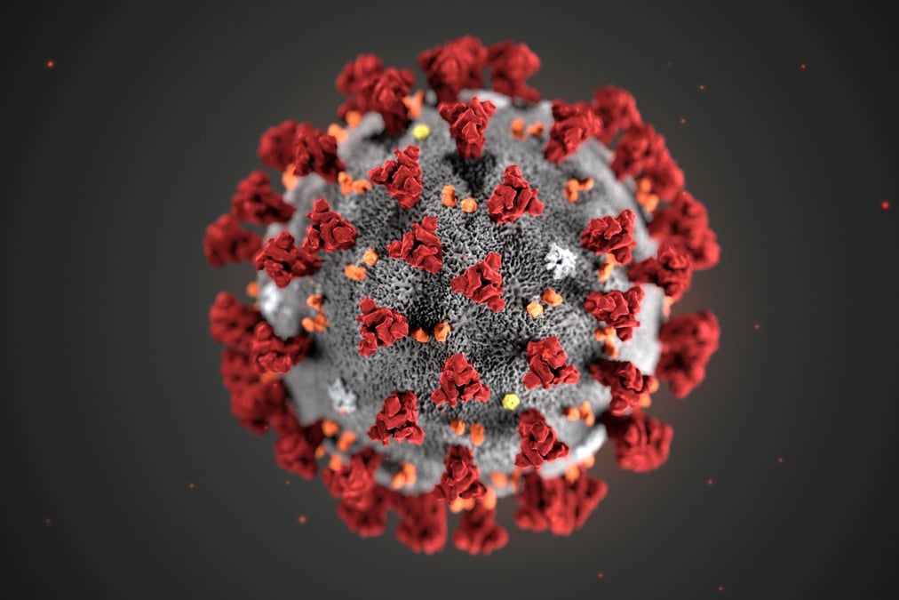Coronavirus: un premier cas de transmission humaine signale aux usa