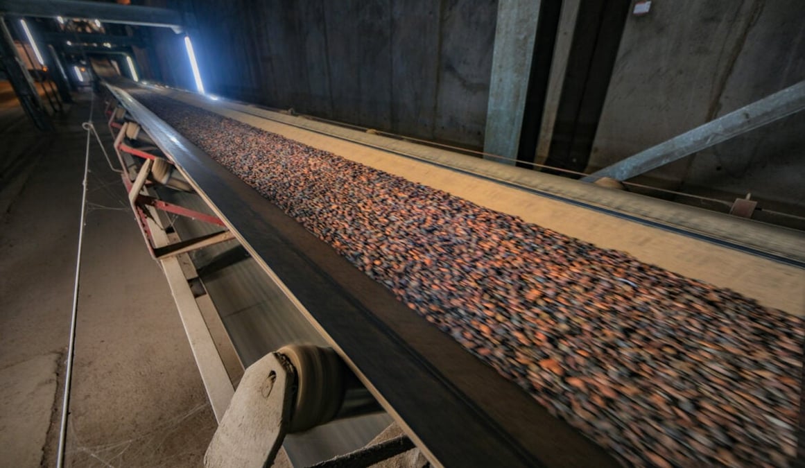 Un convoyeur achemine des fèves de cacao jusqu’à un site d’entreposage. (Photo d’illustration.)
