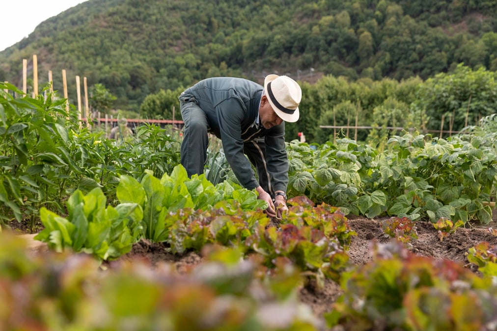 Une enveloppe de 1,4 million d'euros, issue du bouclier social et climatique, a été allouée par la Ville de Grenoble à l'émergence d'une Sécurité sociale de l'alimentation, qui pourrait bénéficier à 1.000 à 1.500 personnes au cours de la première année.