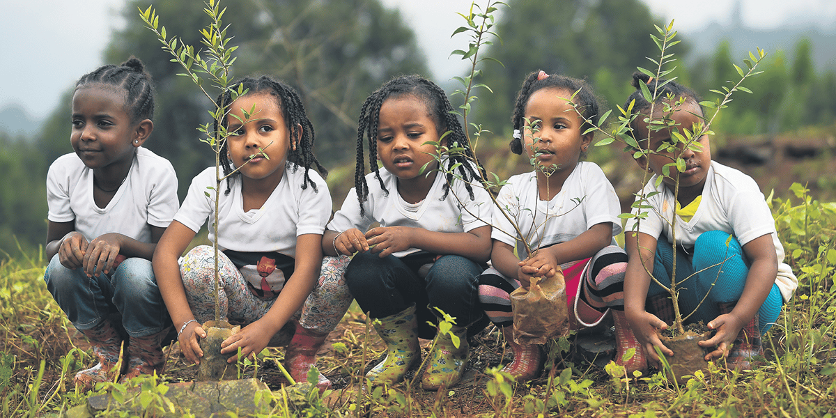 Le 29 juillet, la population éthiopienne a planté 350.000 arbres en 12 heures, dans le cadre du programme gouvernemental visant à atteindre le nombre de 4 milliards au mois d'octobre.