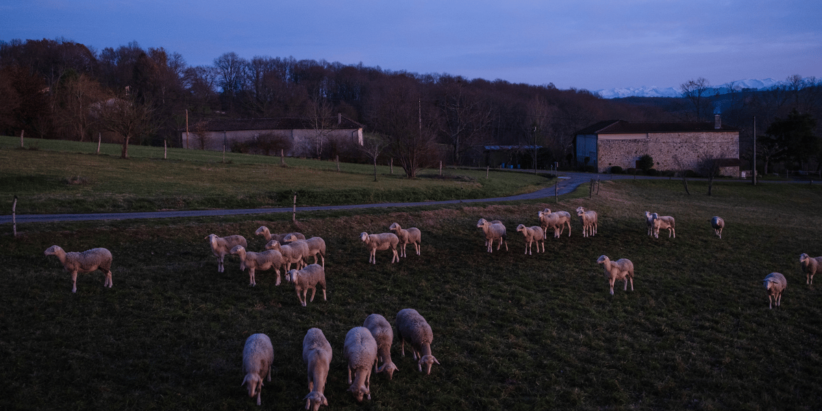 agriculture