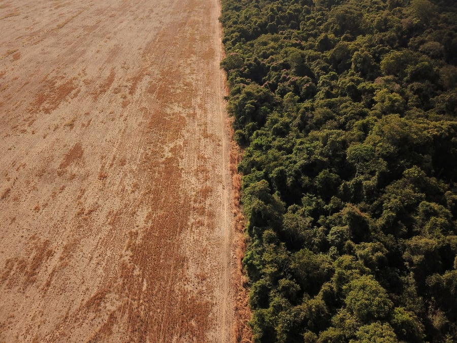 Bresil: la deforestation de l'amazonie atteint un record en avril