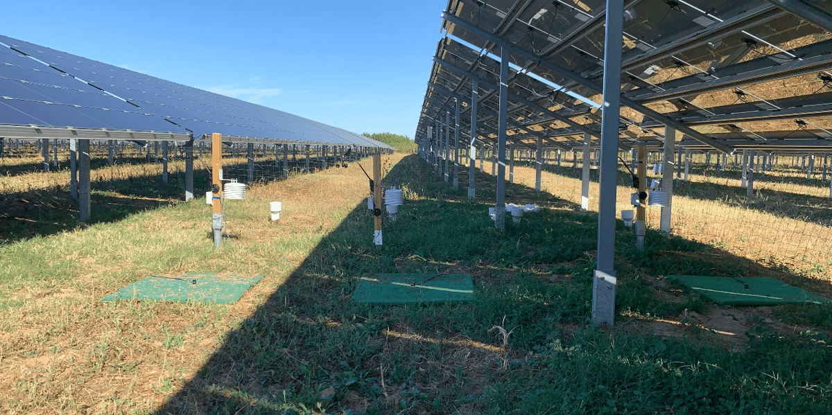 Agrivoltaïsme