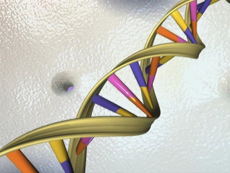 Une nouvelle methode de sequencage express de l'adn