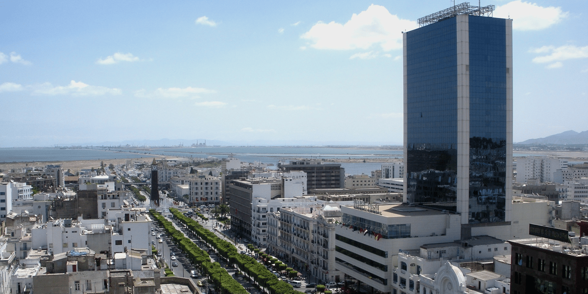 ALTDE_91 millions d'euros pour les smart grids en Tunisie