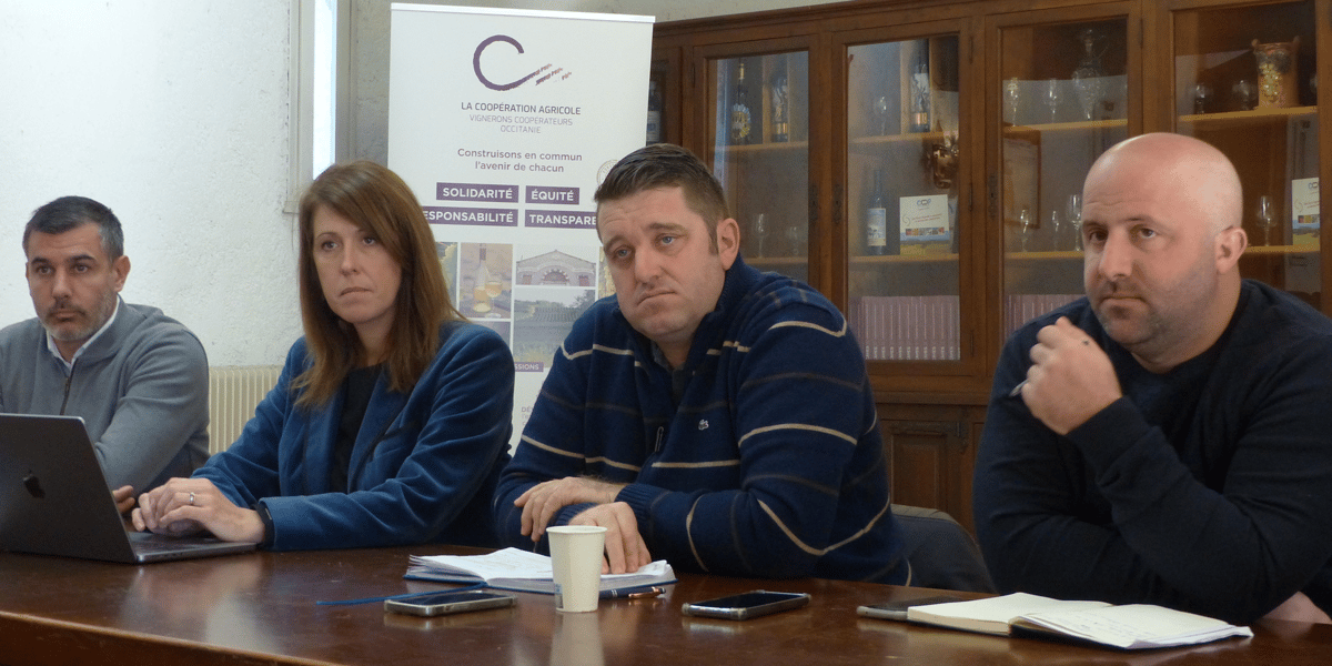 L’équipe des Vignerons Coopérateurs d’Occitanie lors de Conférence de presse le 23 novembre près de Montpellier (de gauche à droite) : Fabien Castelbou (Hérault) Valérie Bastoul (directrice), Ludovic Roux (région), Guillaume Ribes (Pyrénées Orientales).