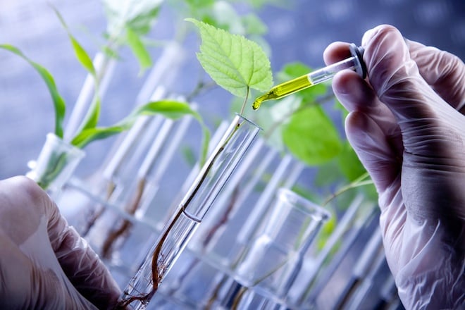 Moléculture ou pharming