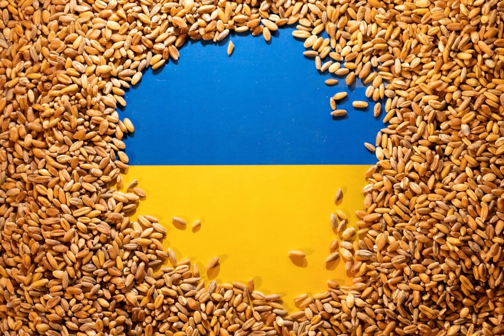 Illustration du drapeau national ukrainien et des cereales