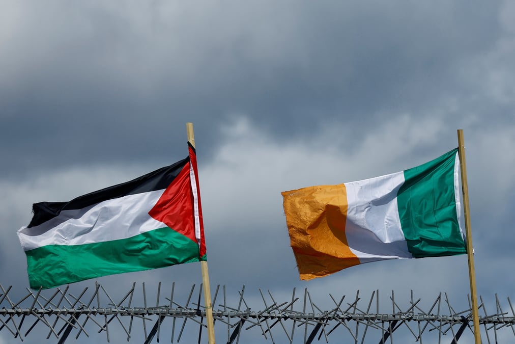 Drapeaux de la palestine et de l'irlande