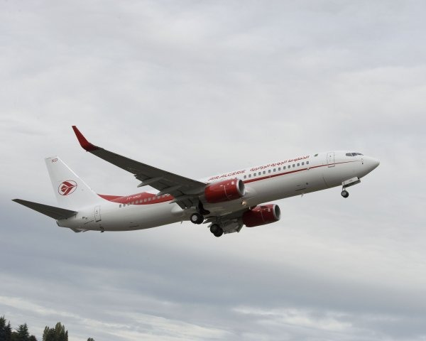 Air Algérie va s'organiser en cinq bases d'opérations : Alger, Oran, Constantine, Annaba et Ouargla. Un modèle judicieusement inspiré de celui des low cost.