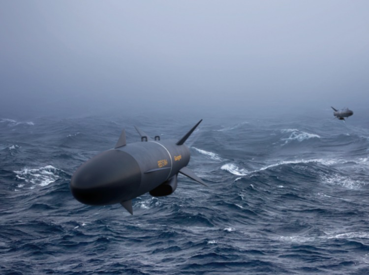Le RBS-15 Gungnir aura une portée de 300 km