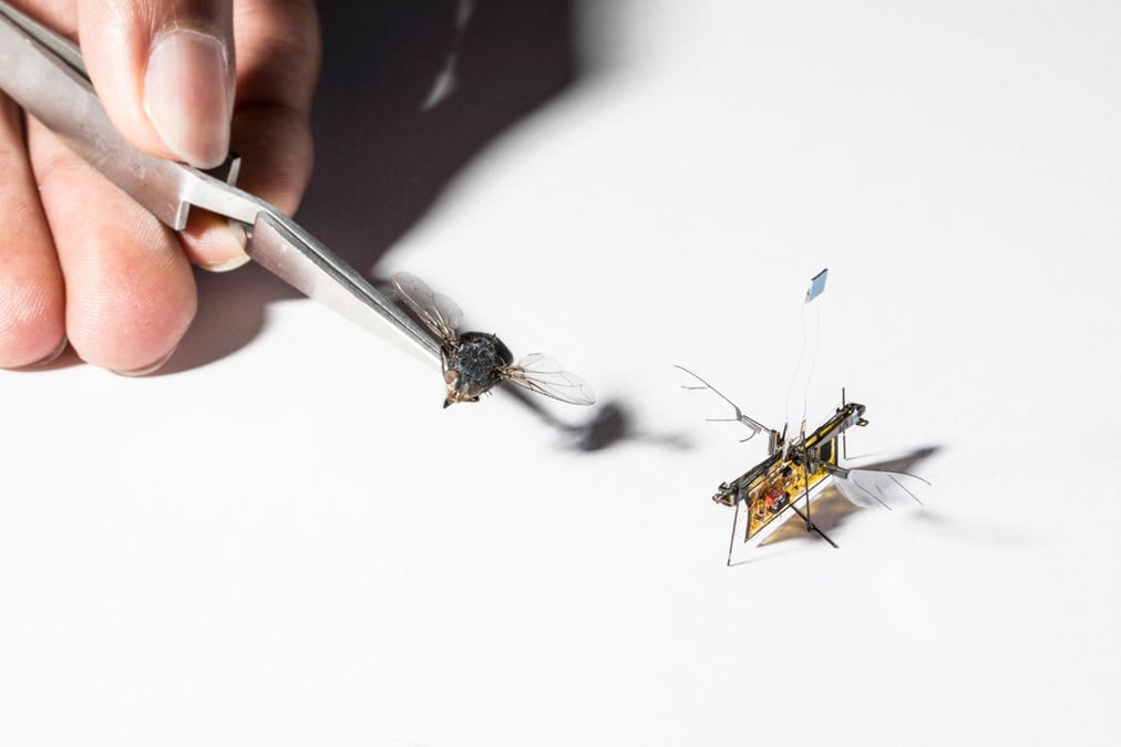 Le RoboFly peut s'envoler grâce à l'énergie laser.
