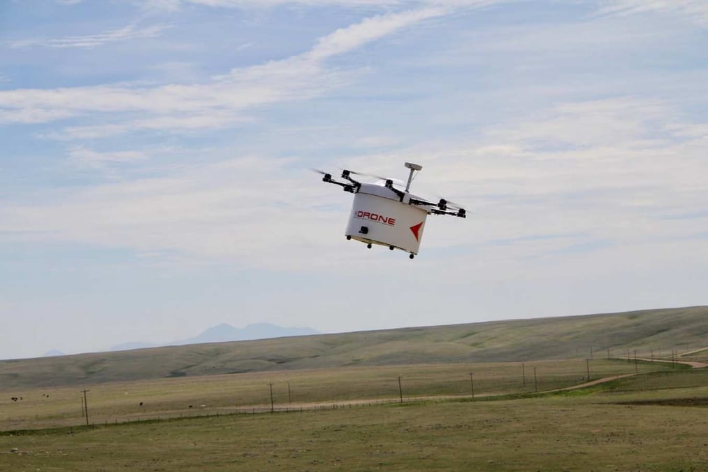 Drone Delivery Canada souhaite désormais étendre ses activités aux Etats-Unis.